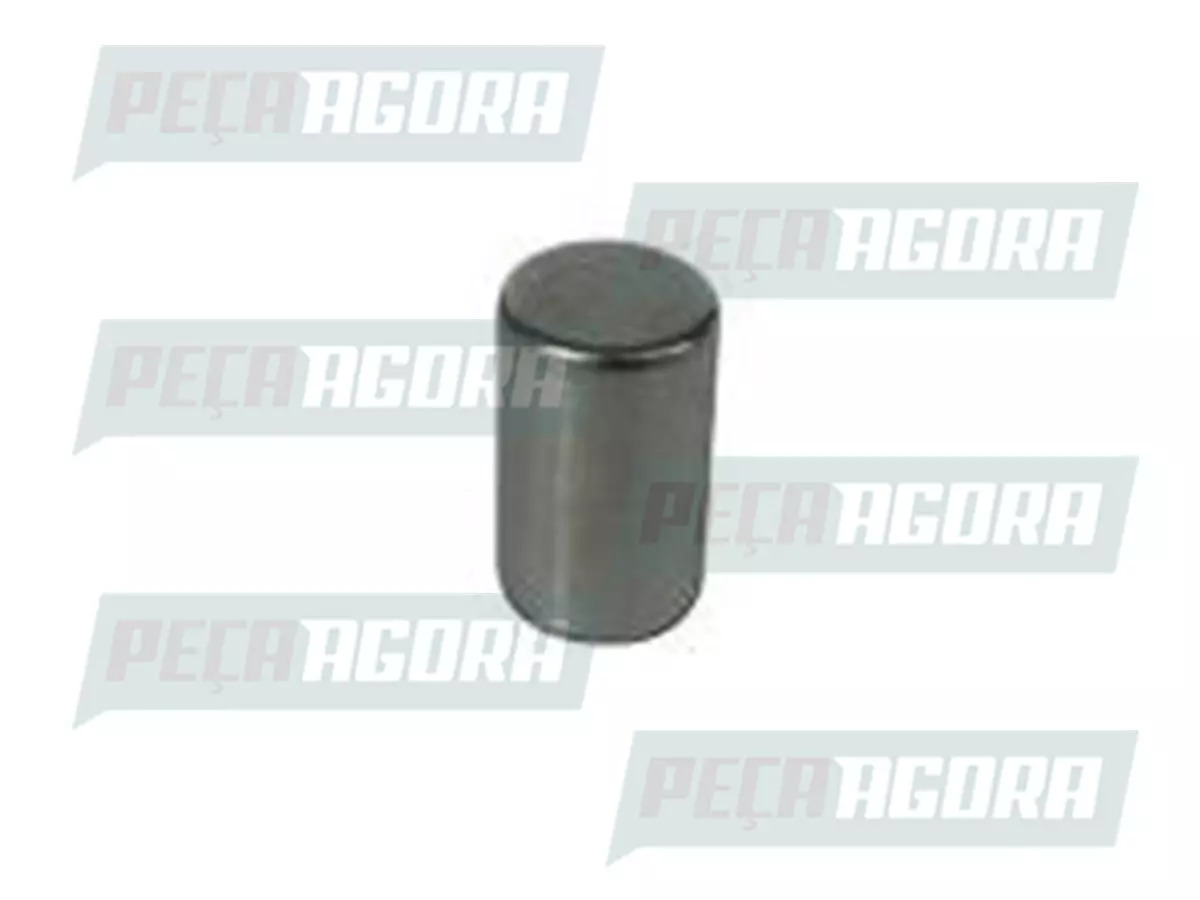 JOGO ROLETES SUPORTE PLANETARIO MB CAMBIO ZF 16S-1650 OD MB L-1632 L-1634 L-1935