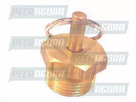 VALVULA LATAO TANQUE AR ROSCA 22X1.5MM MERCEDES BENZ (0004320807.)