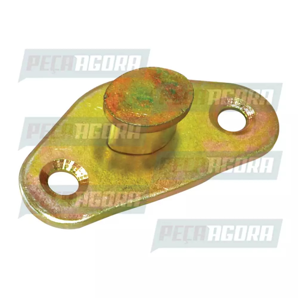BATENTE PORTA FORD F1000 F11000 TODOS APOS 72  (Z8TU5421982A-WGT303)