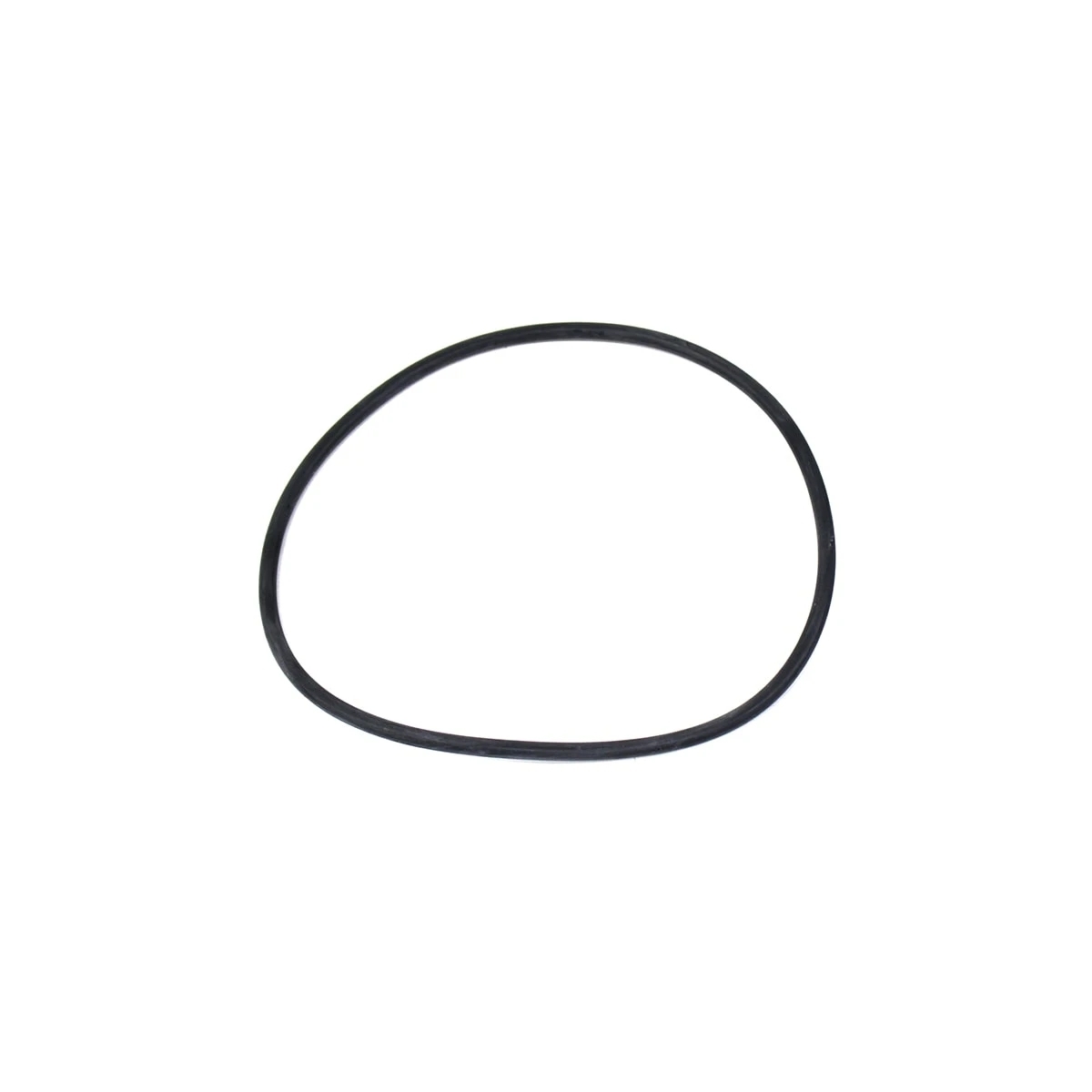 ANEL ORING MOTOR MWM SPRINT (604931041124E)
