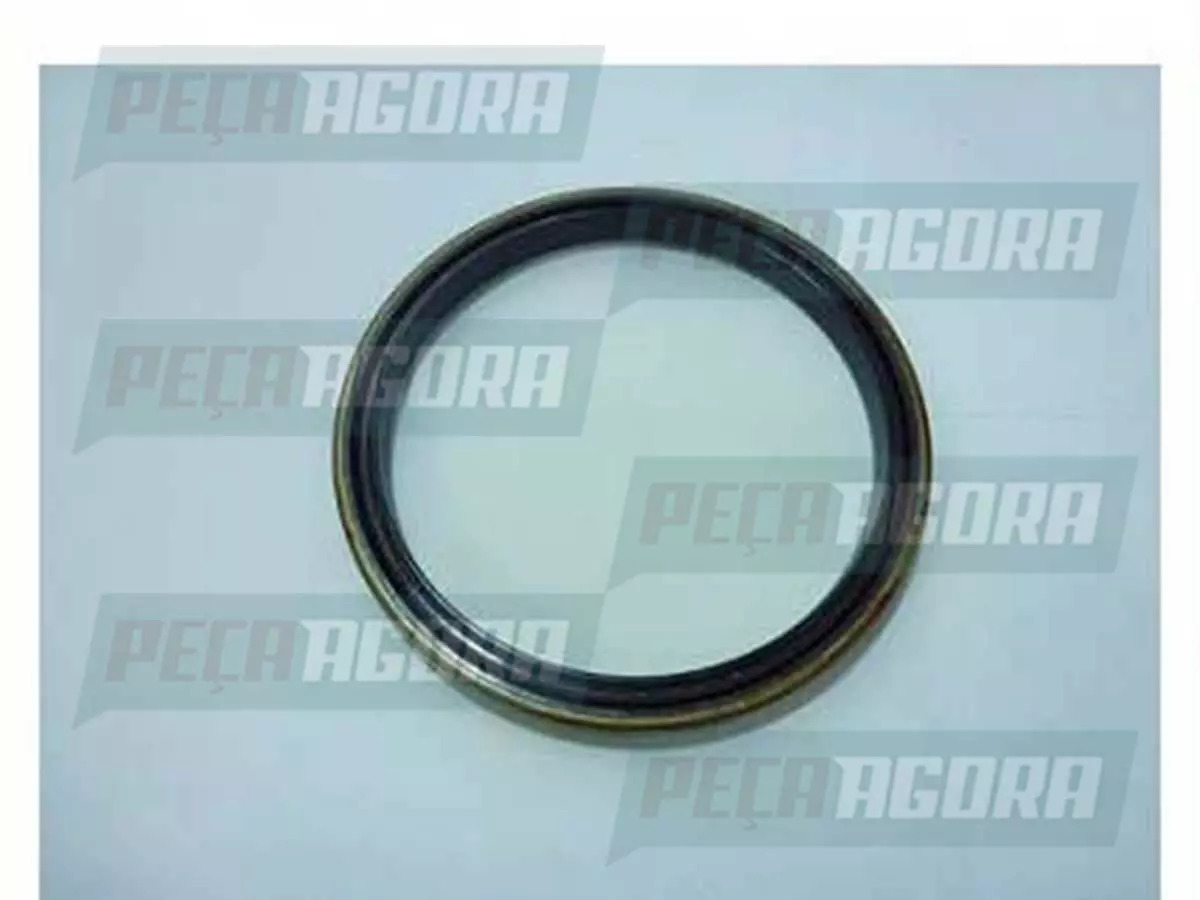 RETENTOR REDUCAO RODA PARA SCANIA 113 114 124  (1363674,)