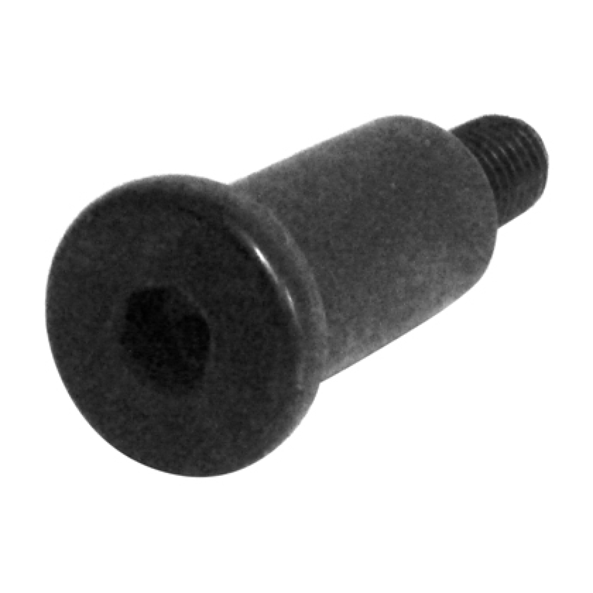 PARAFUSO FIXA GUIA CORRENTE MOTOR ISF 2.8 4CIL EURO V FORD F350 F4000 ANO 2014..