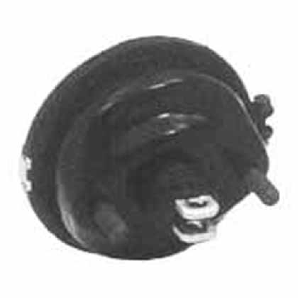 CILINDRO FREIO MEMBRANA 20 POL SCANIA F113 K113 L113 (1313841-4231054500)