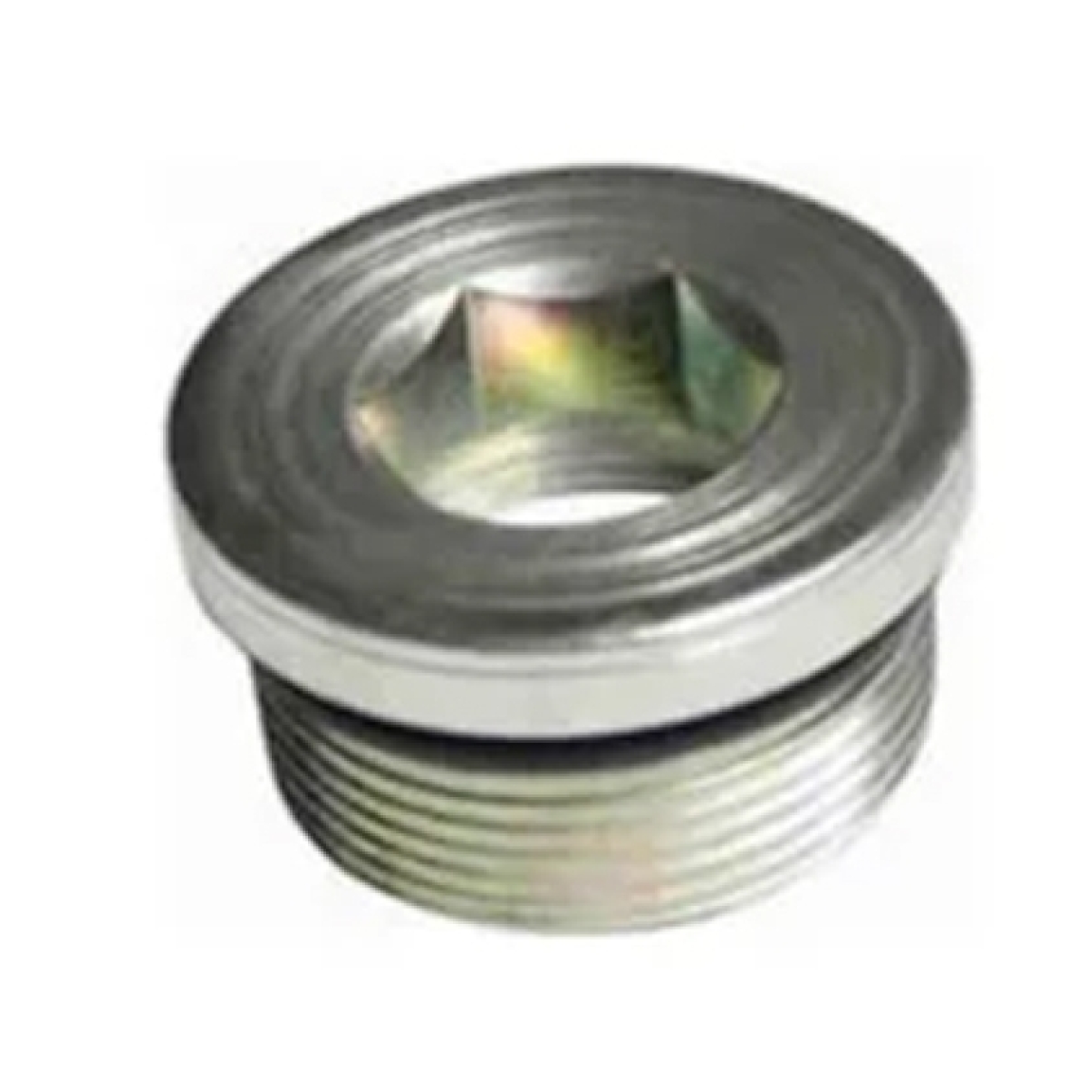 BUJAO ROSCADO BLOCO MOTOR MODELO CUMMINS ISC 8.3 42MM FORD CARGO 2632 3132 1932 