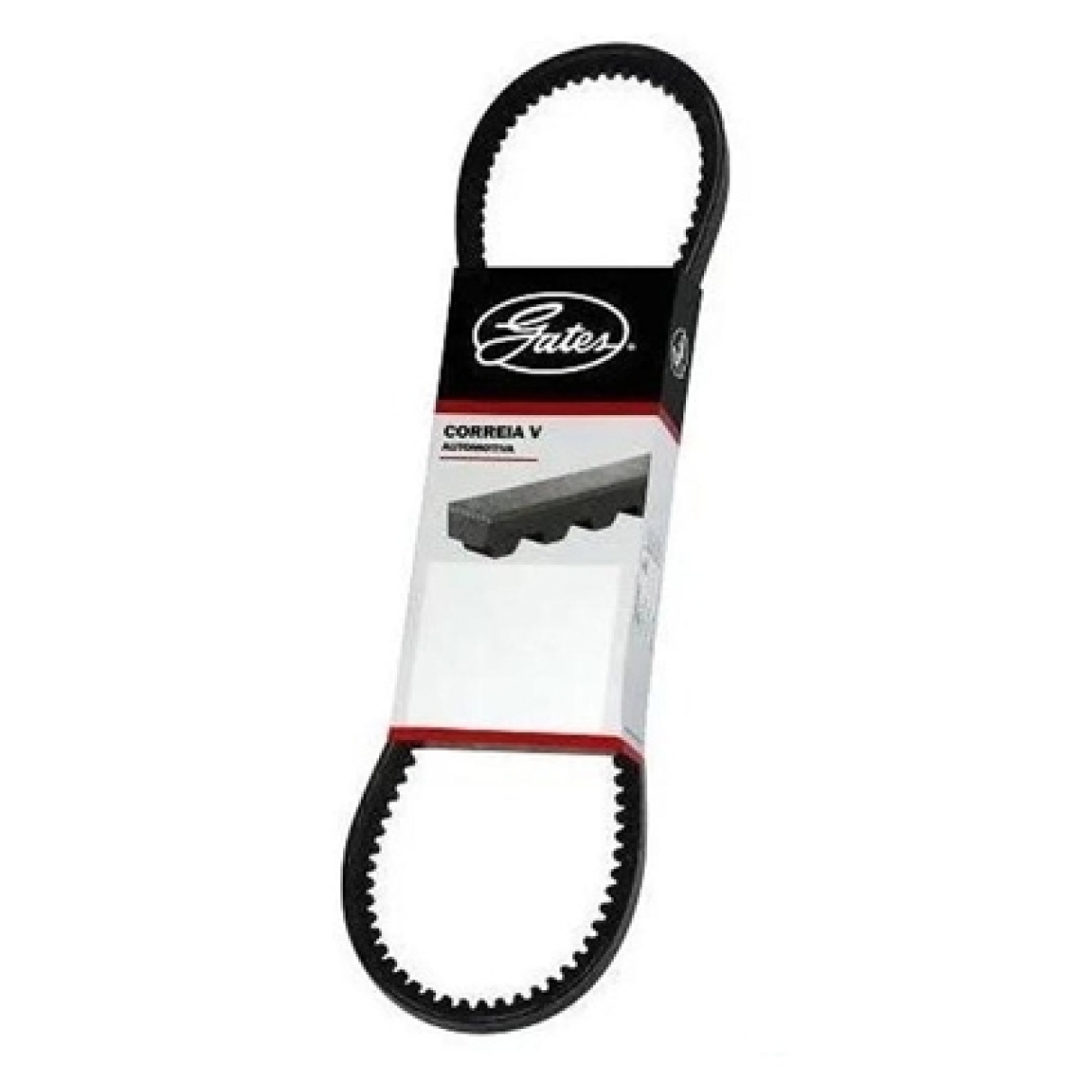 CORREIA INDUSTRIAL DUPLA MEDIDA ESPECIAL (2/AXS38AC)