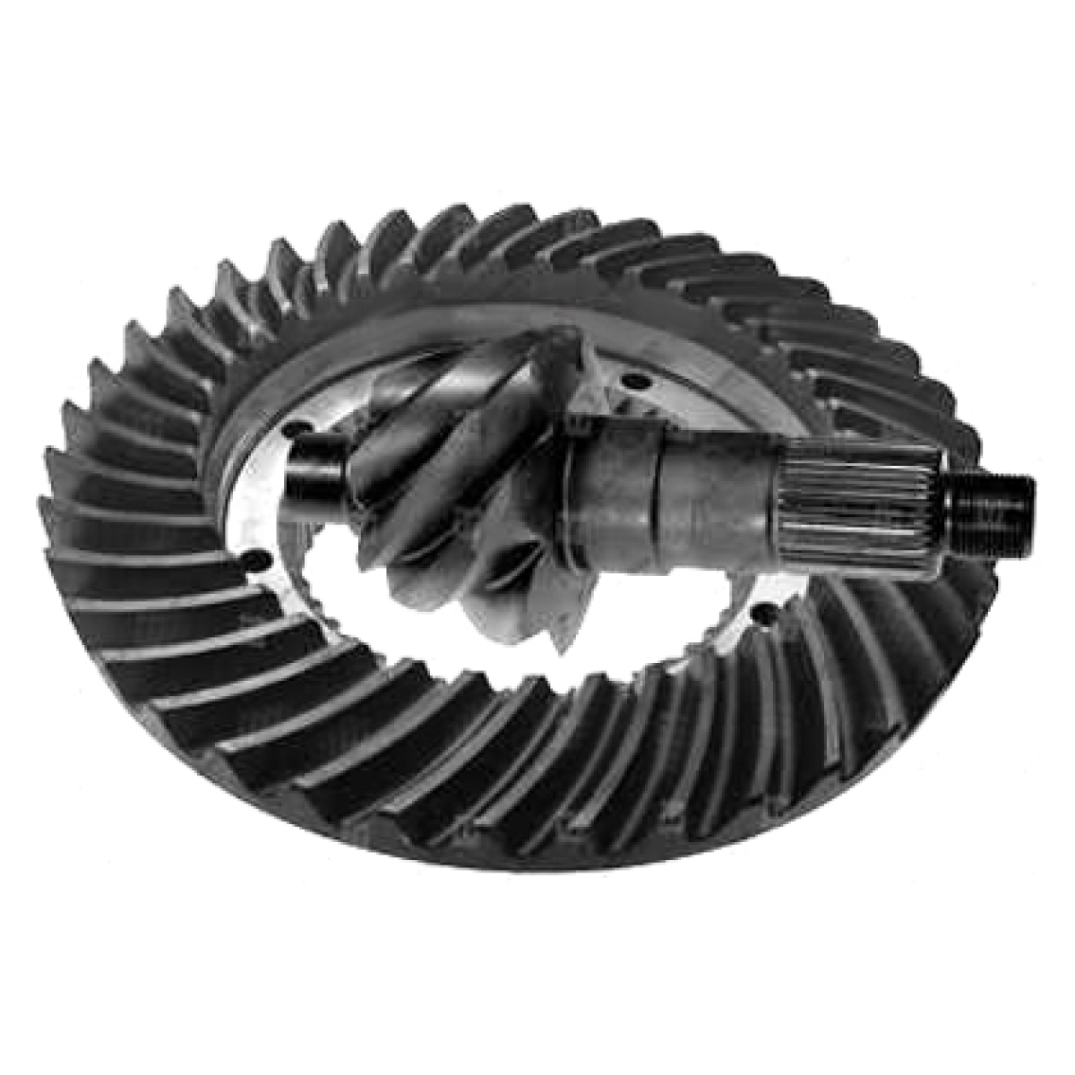 COROA E PINHAO 8X39 HL5Z (3023502339-300011255)