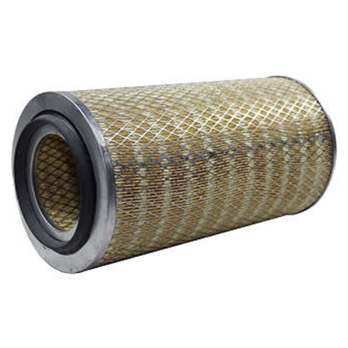 FILTRO COMBUSTIVEL (R12P)