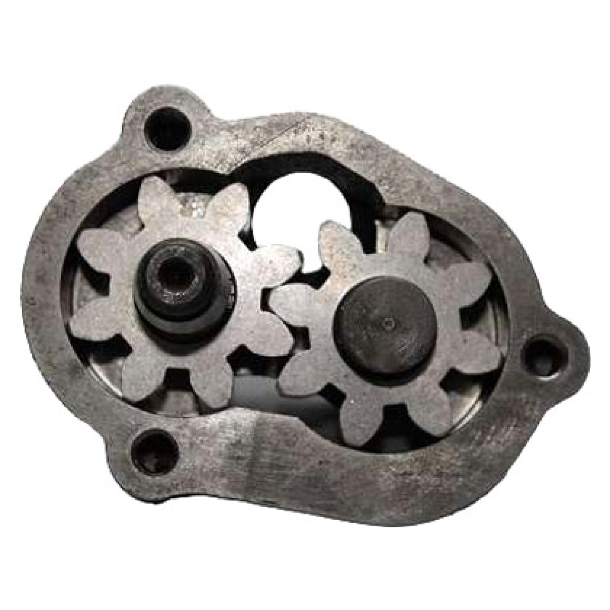 BOMBA OLEO MAN D08 4CIL. VOLKSWAGEN 15190 MOTOR D 08 34 190 - 4.6 L 16V DOHC L4 