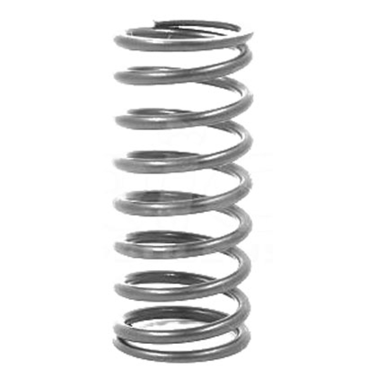 MOLA VALVULA INTERNA MWM 4 10/6 10 STD AGRALE - MA 5.0 2002-2005 4.07 TCA SPRINT