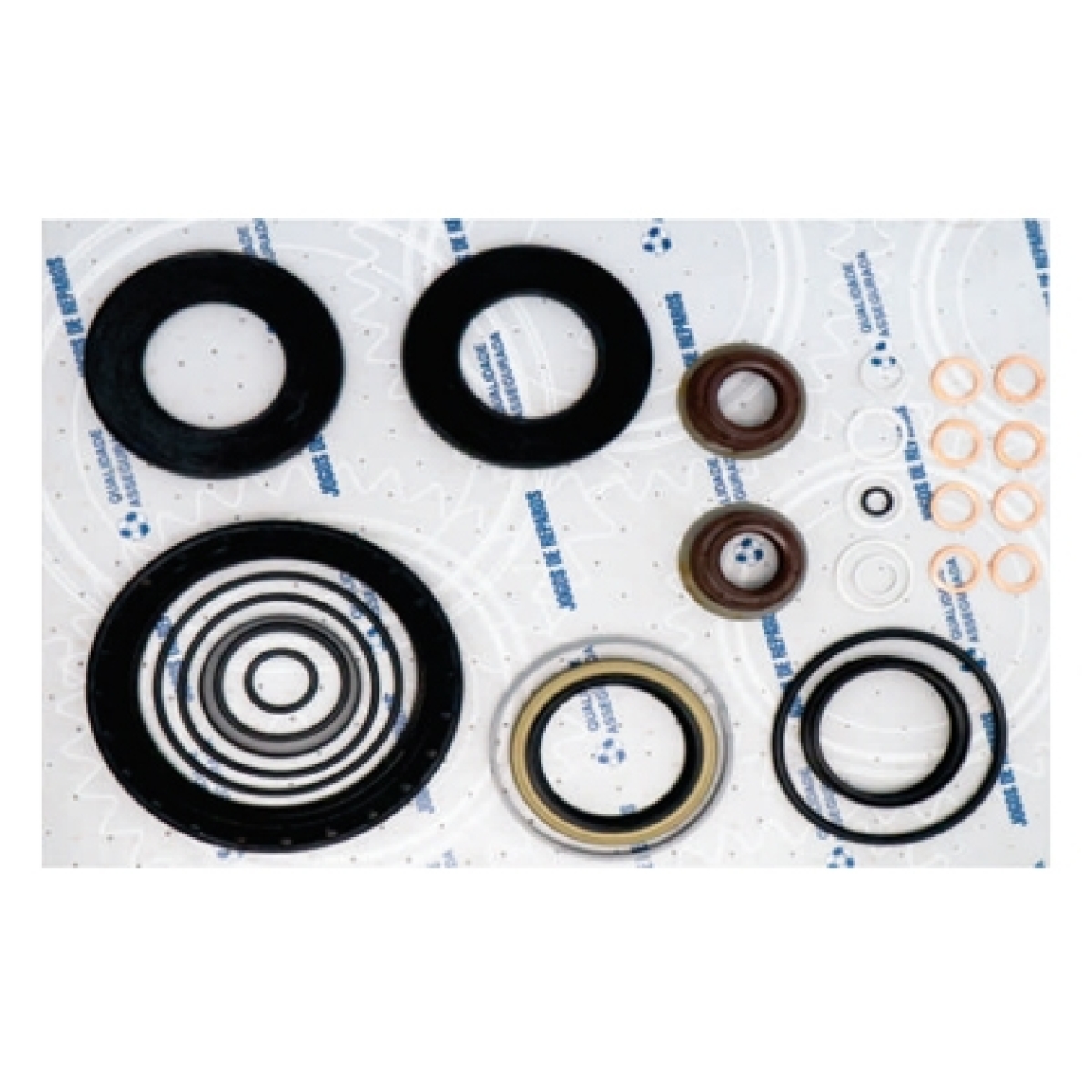 REPARO PARCIAL CAMBIO 16S221 IVECO /VOLKS (DP036)