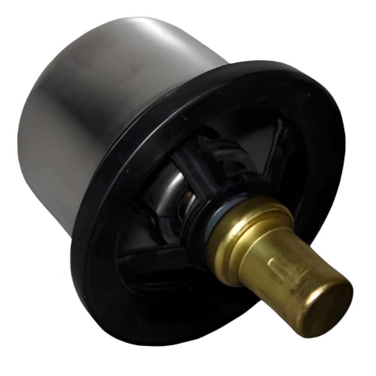 VALVULA TERMOSTATICA DO MOTOR FH 04/21 | FM 10/.. | FMX | VM | VMX (8149182-1676