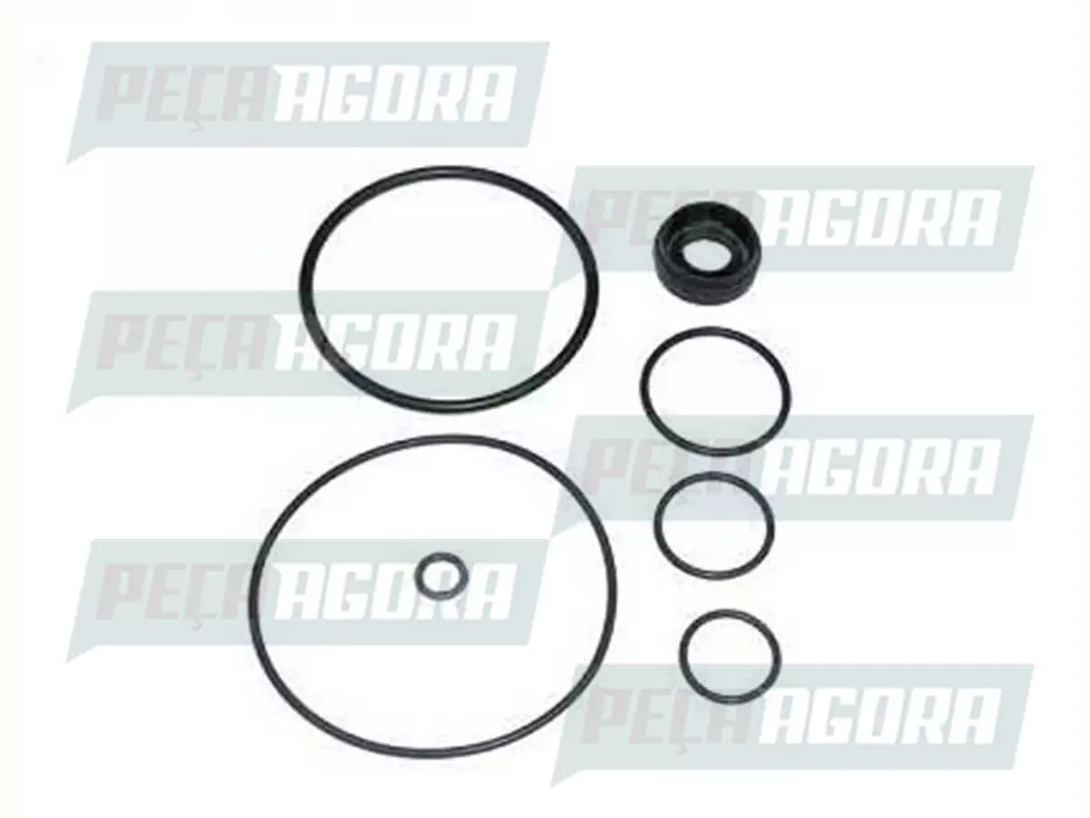 JOGO TUBOS INJETORES 4 GRAUS 5 GRAUS CILINDRO 6 PARA SCANIA 113  (365488,)