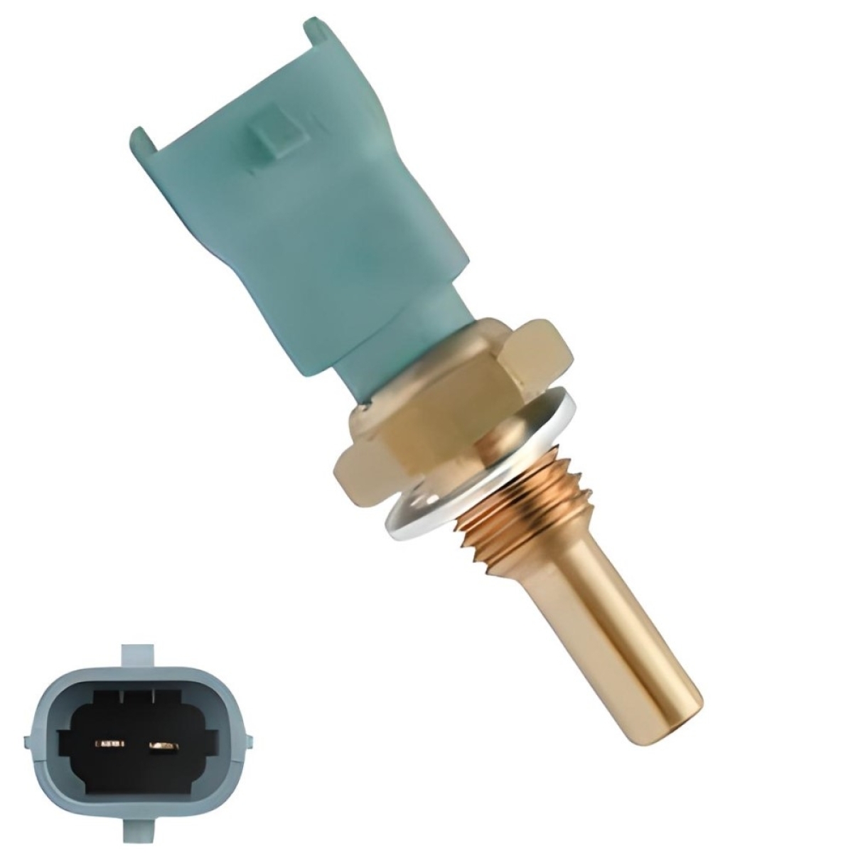SENSOR DA TEMPERATURA DE AGUA DAILY 08/18 | EUROTECH | EUROTRAKKER | FH 10/14 | 