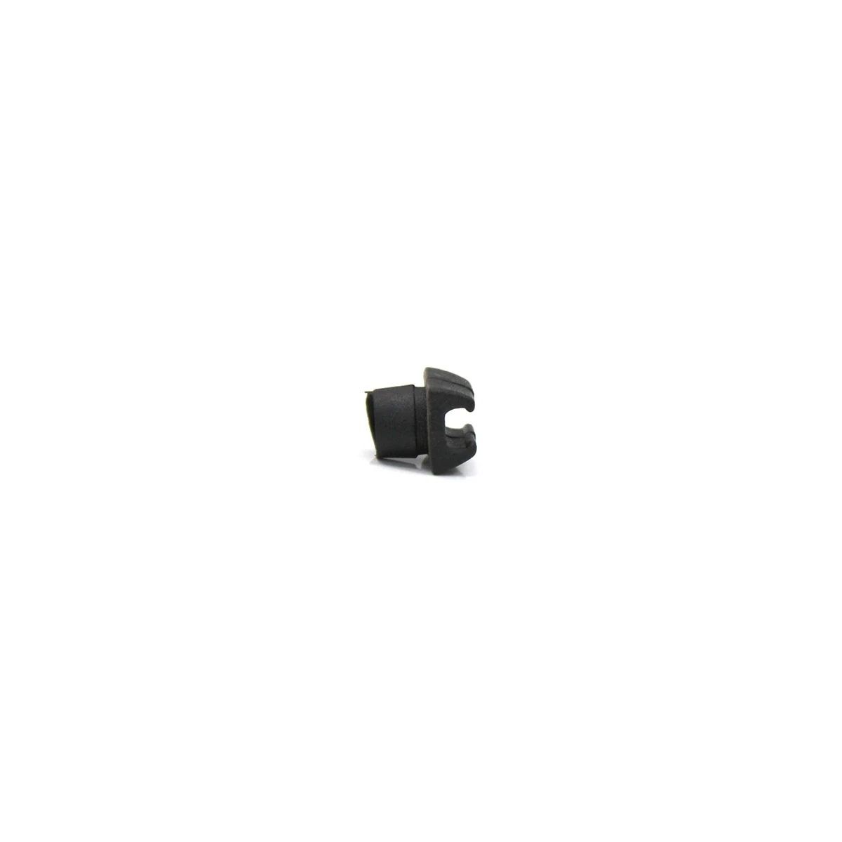 CLIP (211853619.)