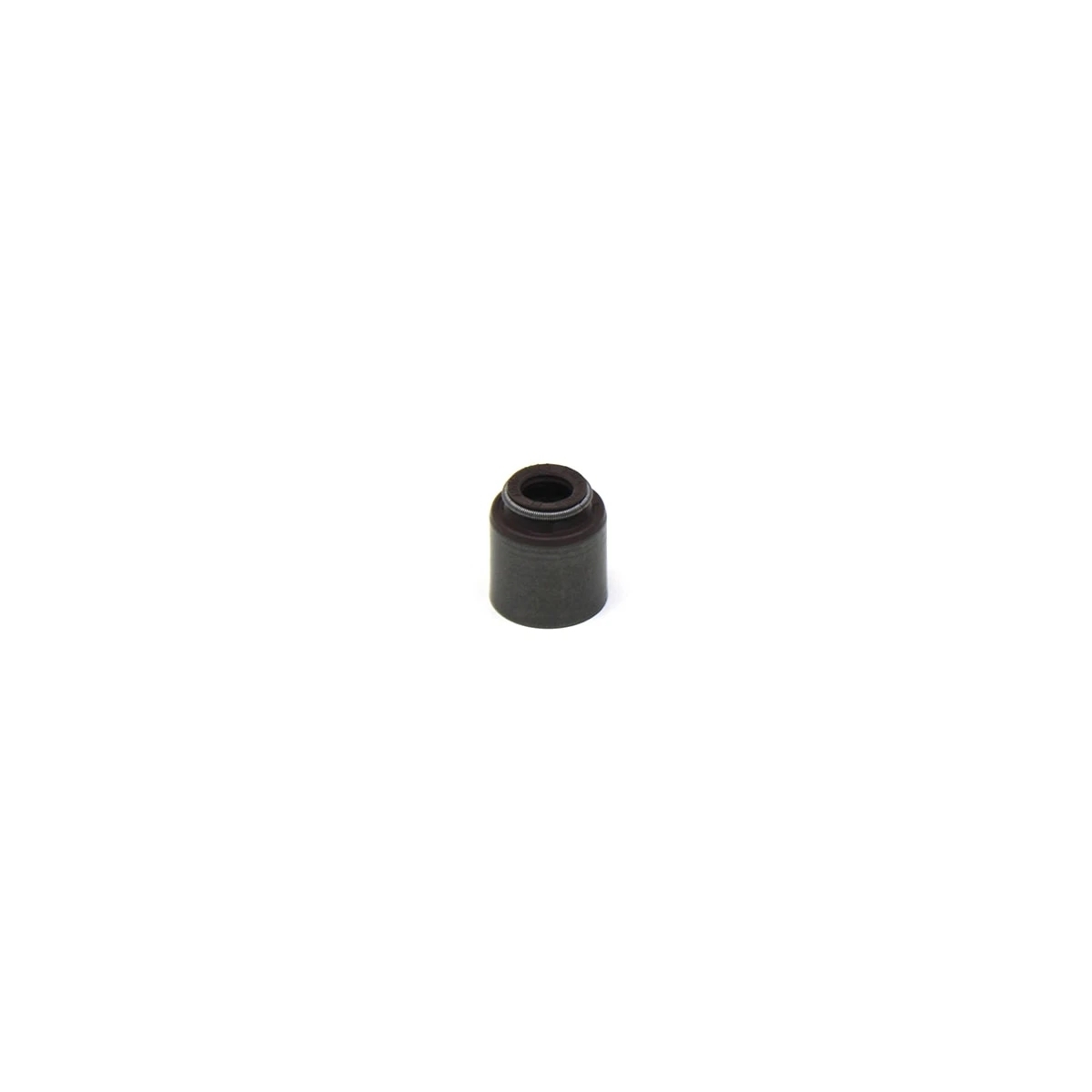 RETENTOR HASTE VALVULA ADMISSAO/ESCAPE MOTOR MWM MAXXFORCE (6020101168005-700159