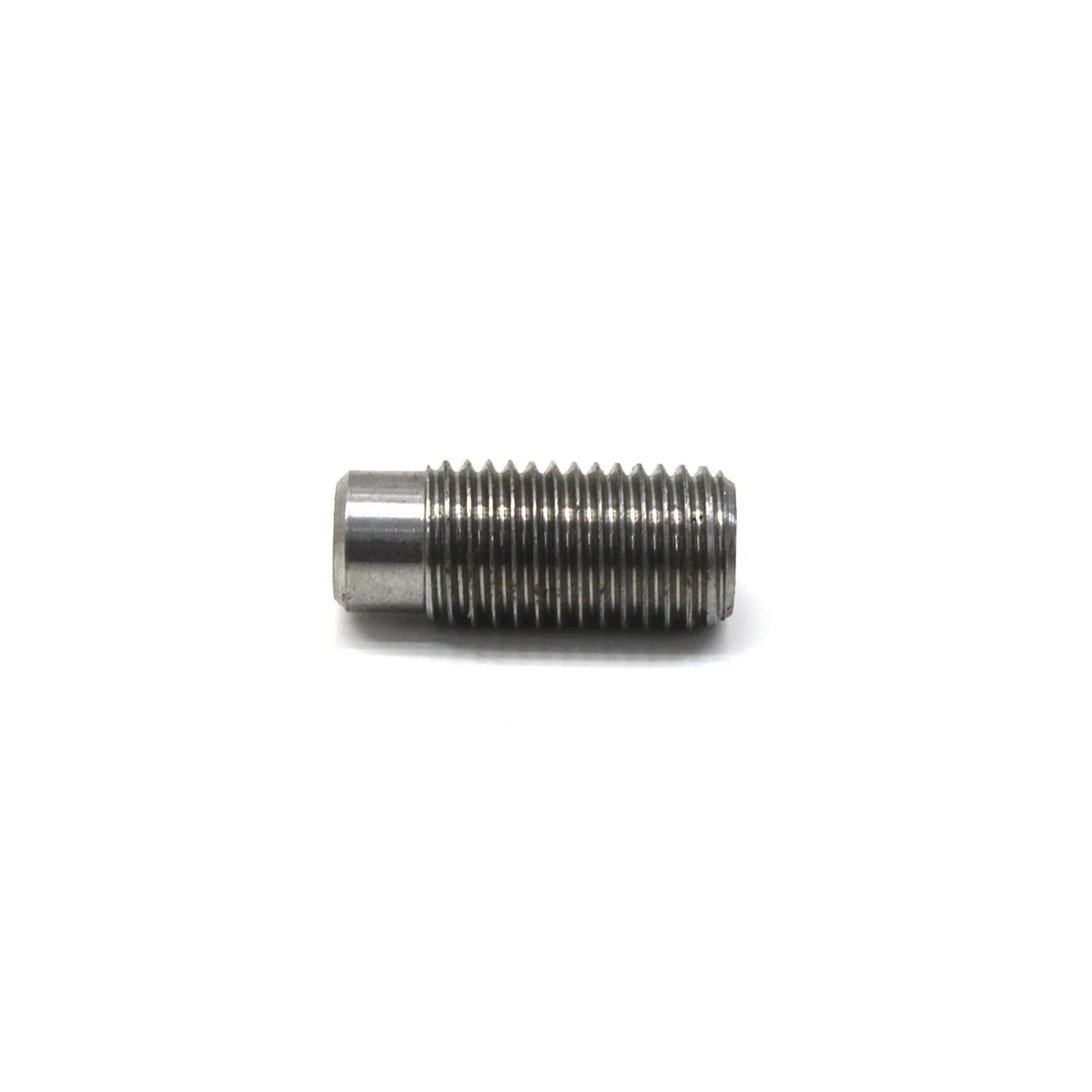 PINO ROSCADO (500054241-A0009905077-0501398399)