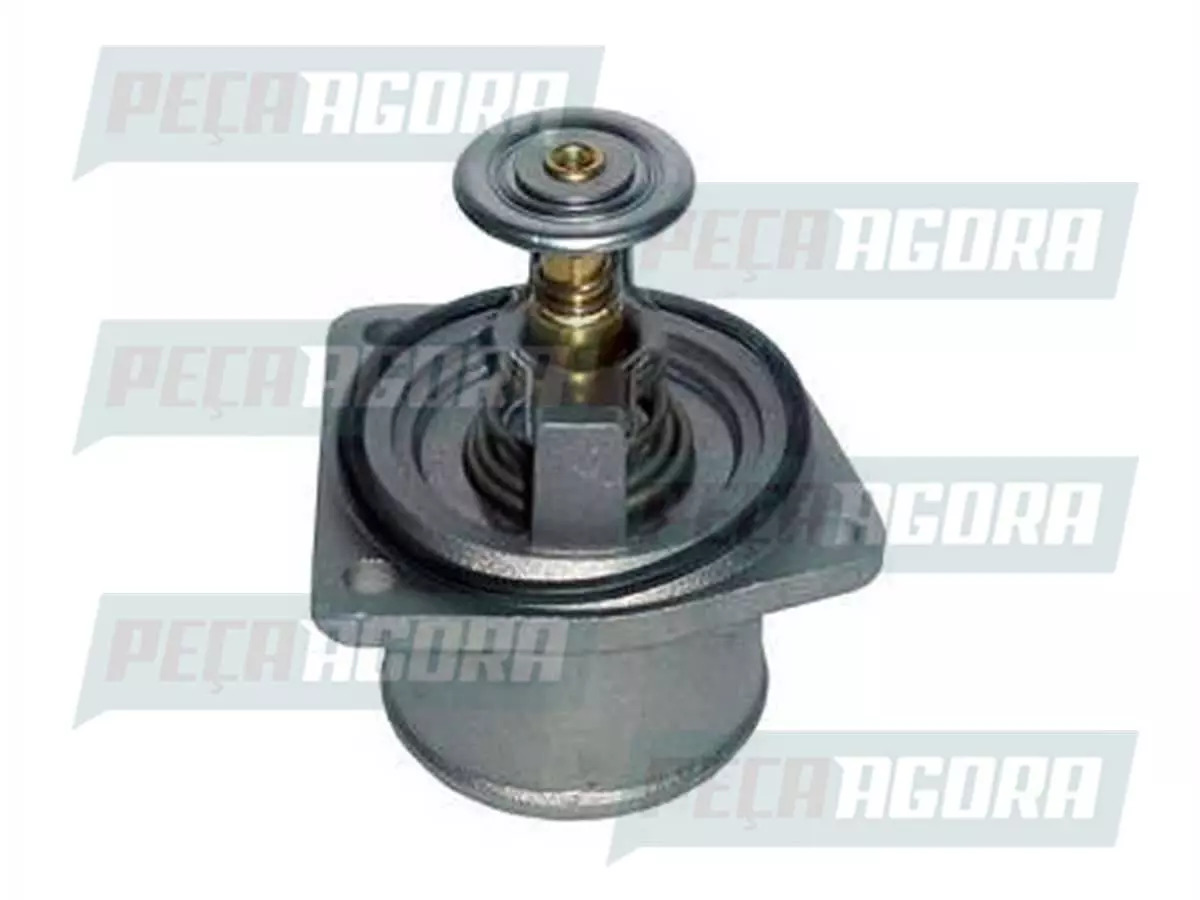 VALVULA TERMOSTATICA MWM VW 13150 13180 15180 15190 17260 VOLKSWAGEN  (2R0121113