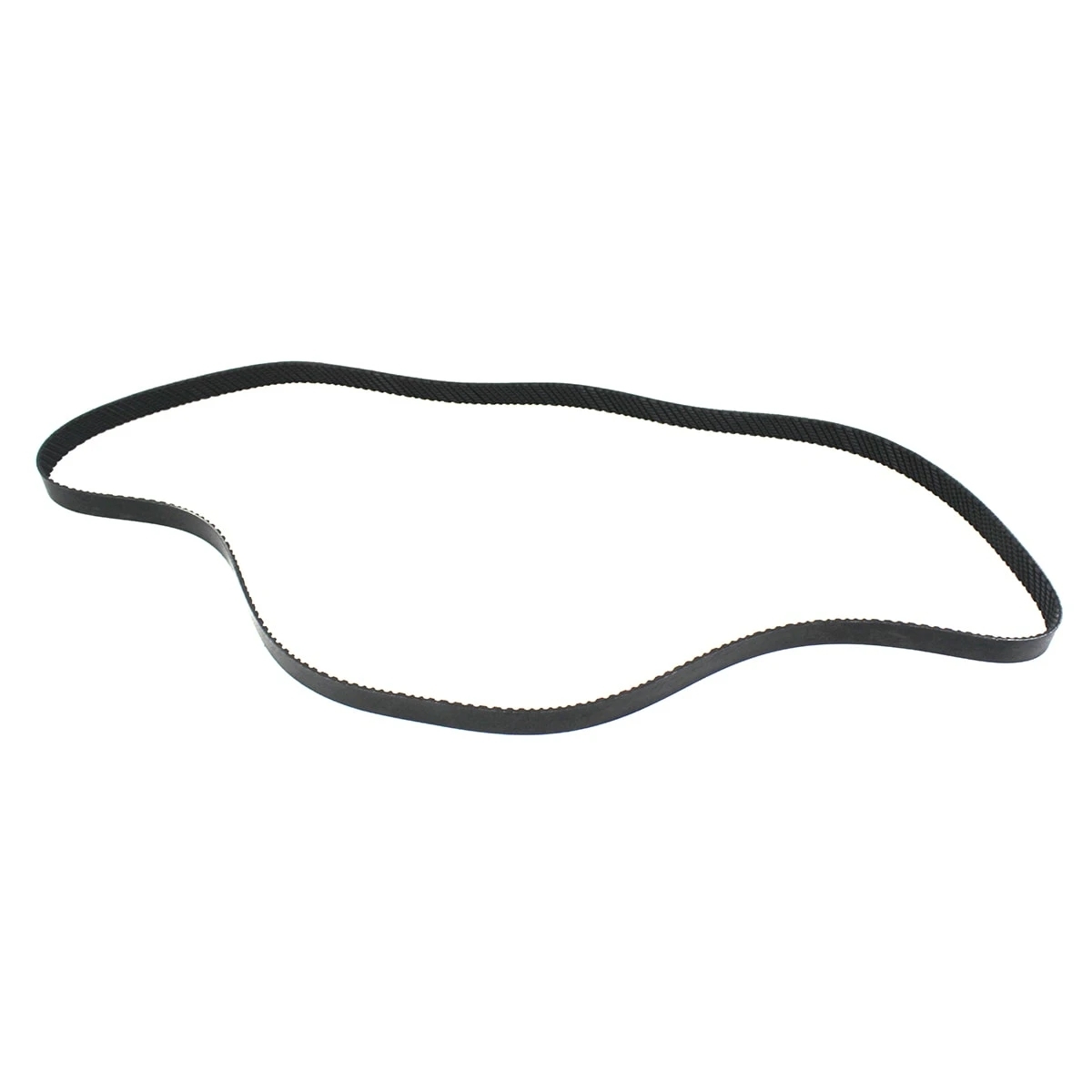 CORREIA POLY V (8PK2175-7002158C1)