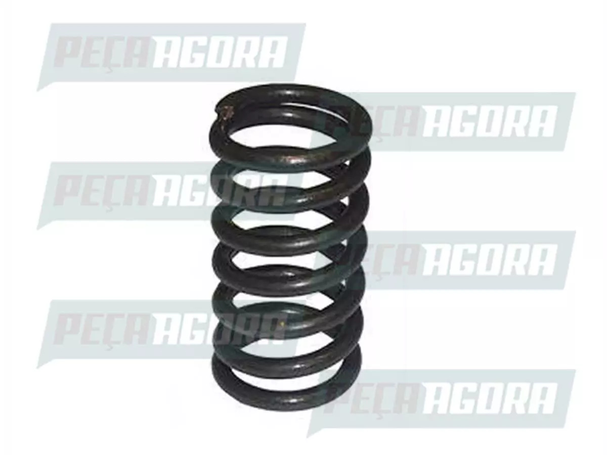 CAIXA 6 MOLA VALVULA ADMISSAO ORIGINAL MB MERCEDES BENZ OM904 906 924 926  (CX.9