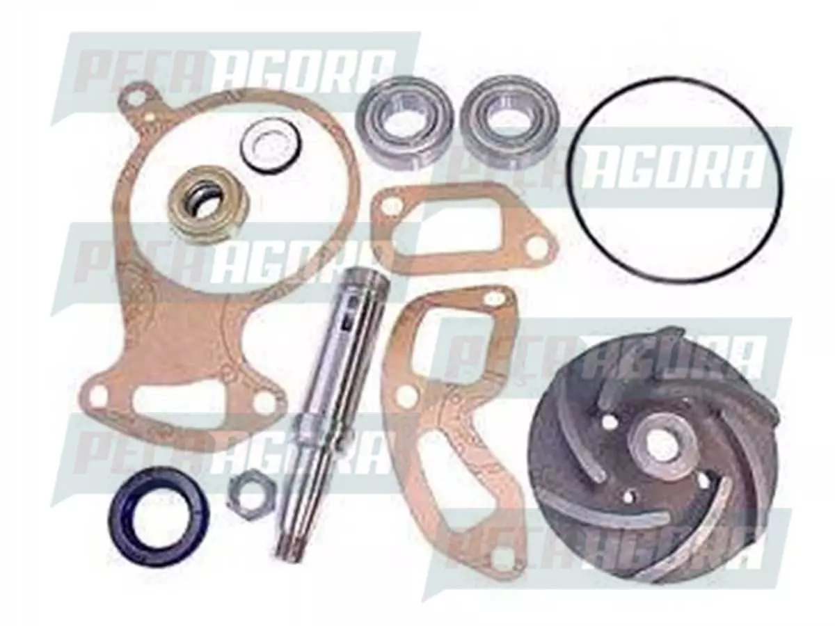 REPARO BOMBA DAGUA COM ROLAMENTO PARA SCANIA LK140 142  (550144,)