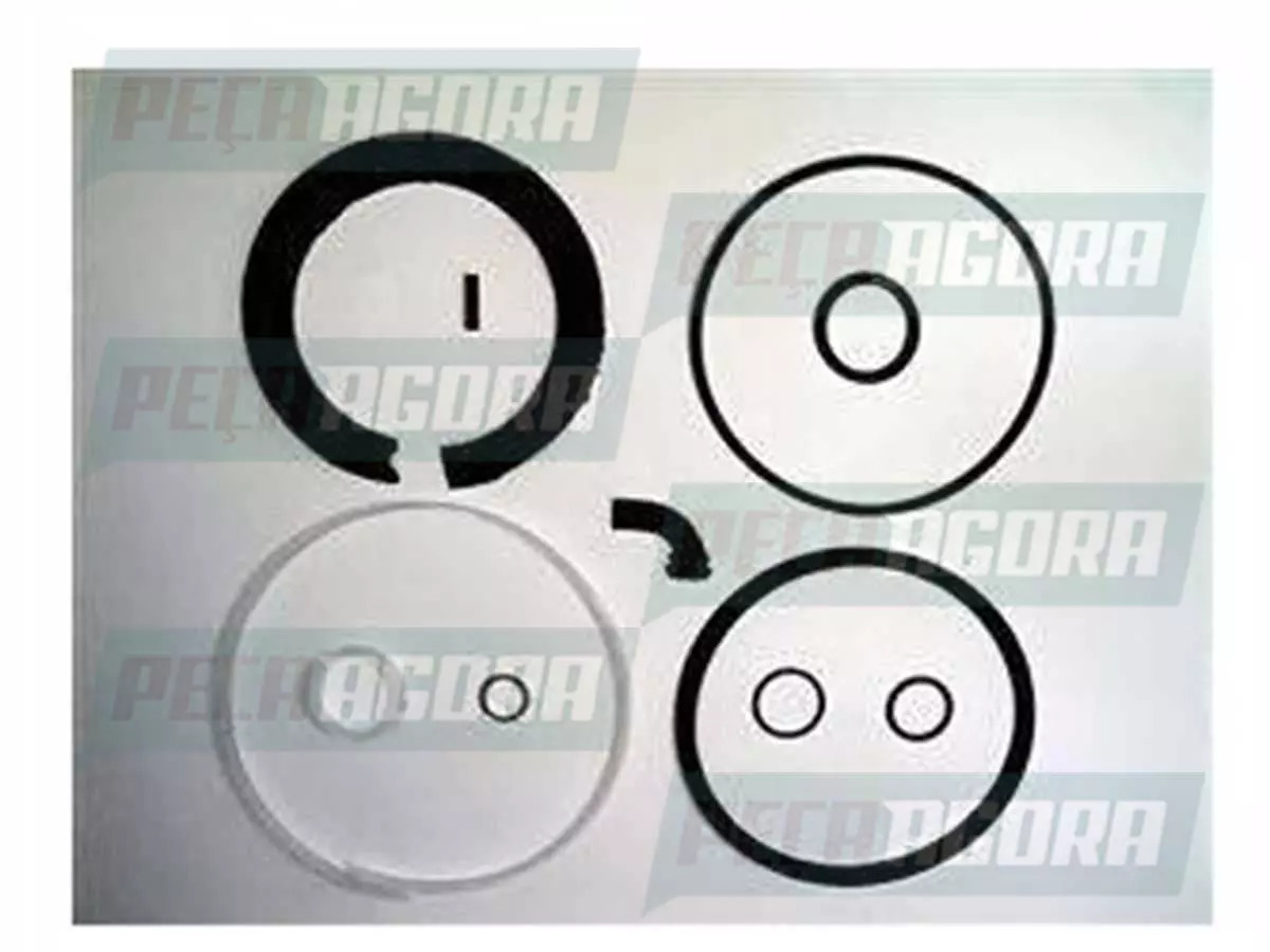 REPARO ACUMUL.MOLA CILINDRO TRISTOP 12 16 925325 MB MERCEDES BENZ L1113 LPO1113 