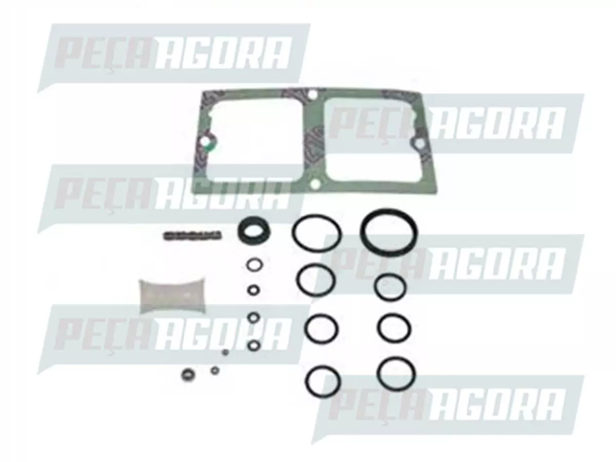 REPARO BOMBA HIDRAULICA PARA SCANIA SERIE 4  (1427794-1320457)