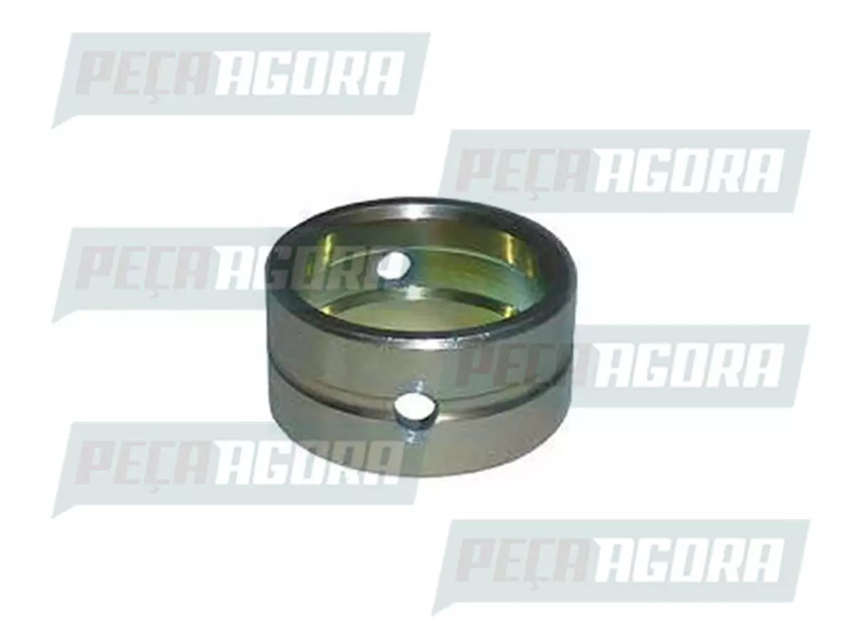 CAIXA 10 BUCHA SEM FREIO SISTEMA TUBLESS Q PLUS ACO TRUCKS RANDON EIXO  (CX.2510