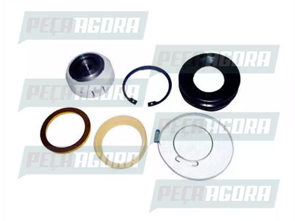 REPARO CENTRAL HASTE V VOLVO FH NH FM  (3090712,)