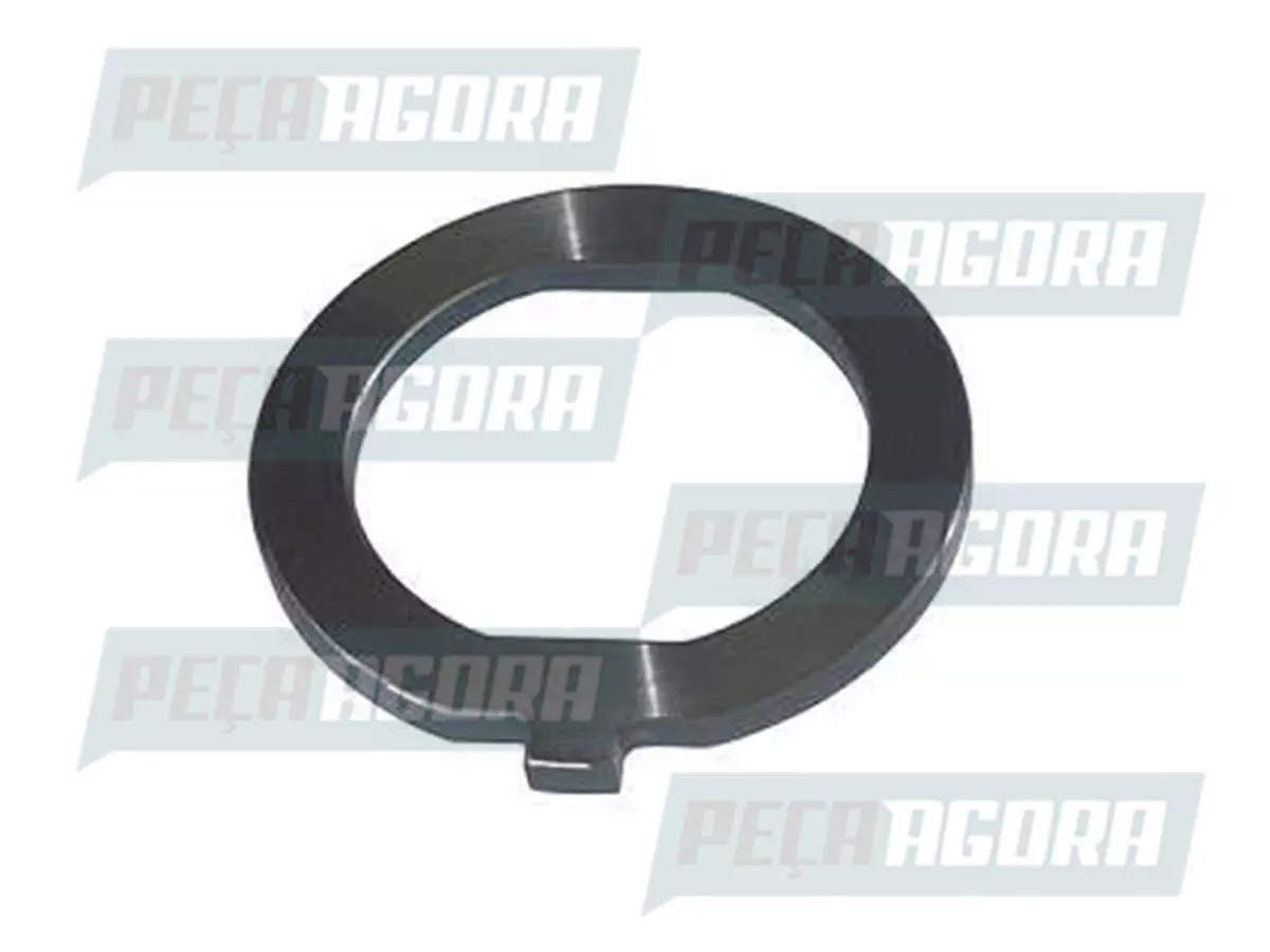 ARRUELA TRAVA CUBO TRASEIRO VOLVO FH NH FM  (1077934,)