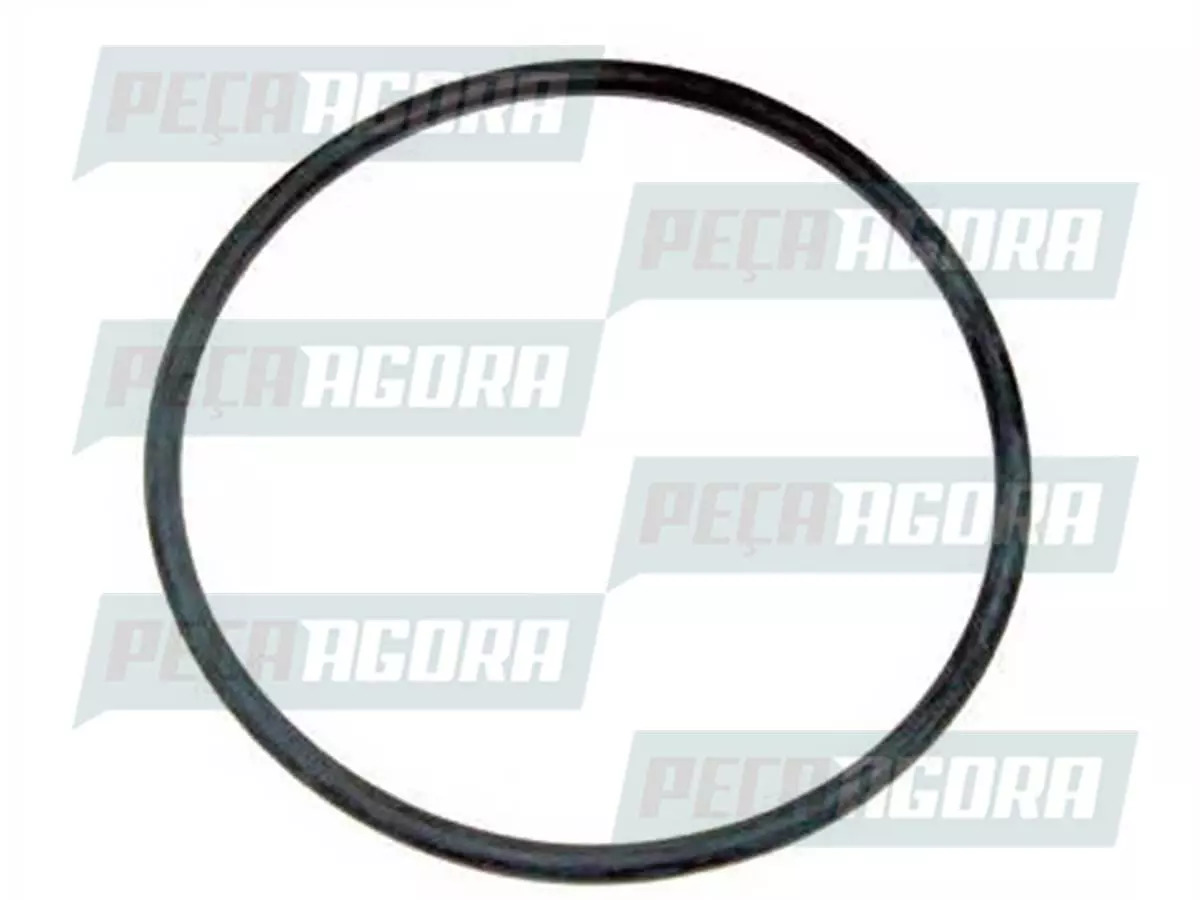ANEL ORING 22.3 X 2.4 DIVERSOS  (76048,)