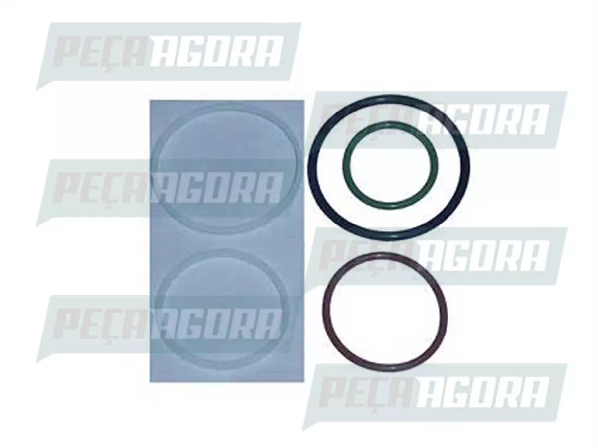 JOGO ANEIS UNIDADE INJETORA PARTE DA SOL PARA SCANIA SERIE 4 MODERNO  (1731209,)