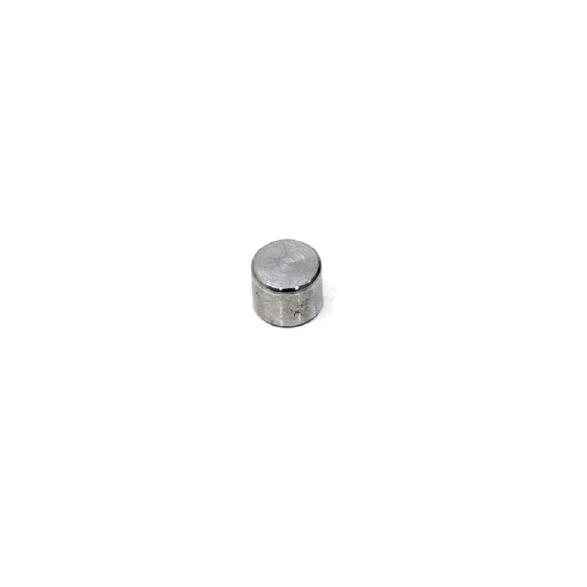 TAMPAO BLOCO MOTOR MWM 229/X10/MAXXFORCE (2RD103125-2RD109255-922903270044E)