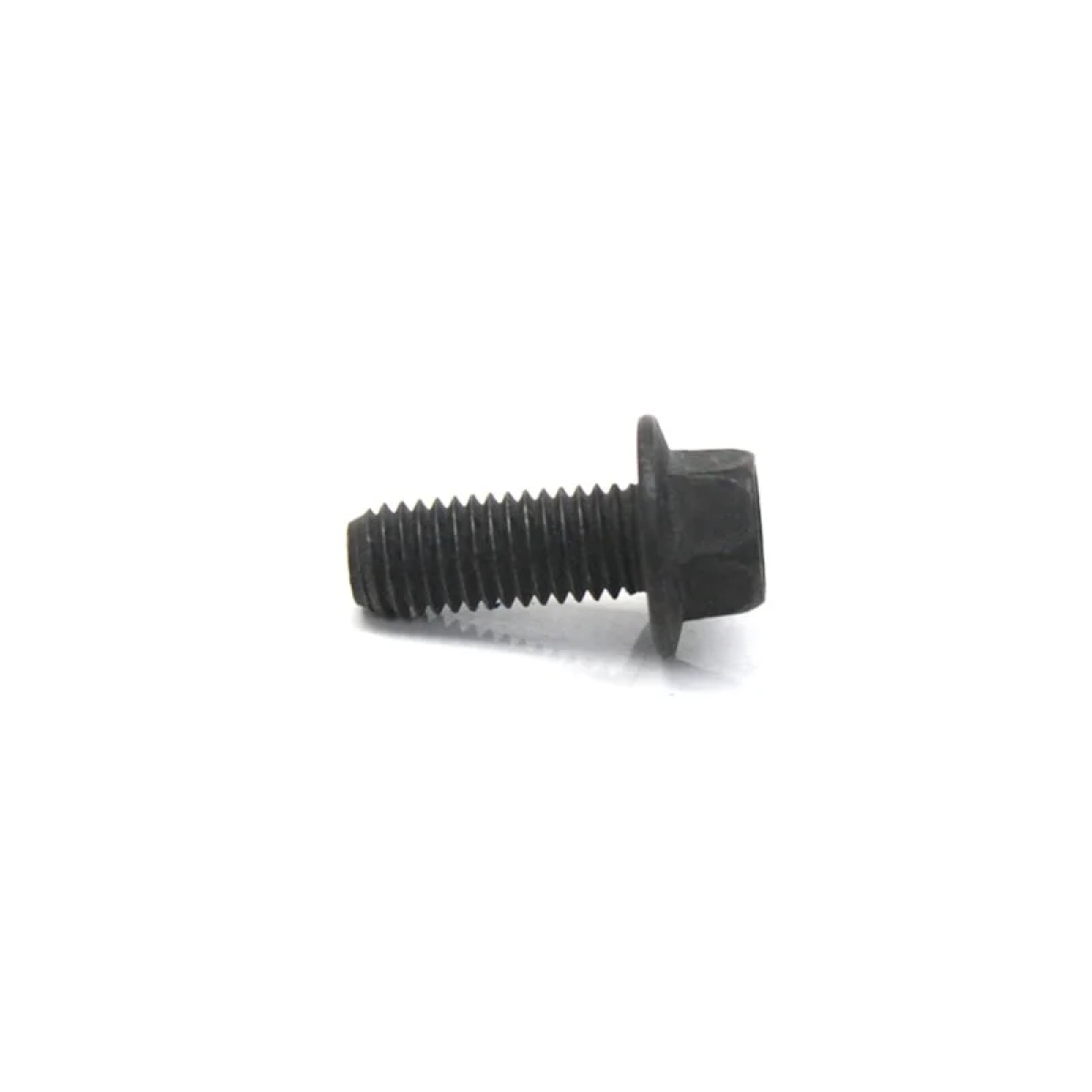 PARAFUSO (10MM) M10X25X1,5 (TE3145907-3902460)