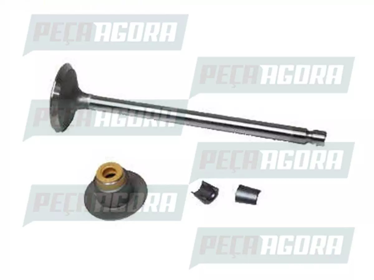 VALVULA ESCAPE ISBE 6,7 CARGO 2429 2629 1723 2423 (BH5X6505AA)