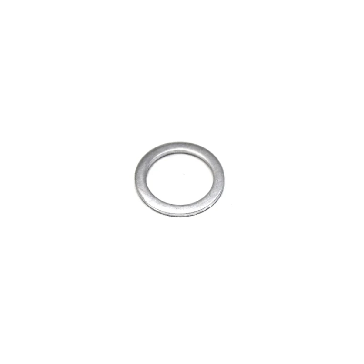 ARRUELA N013811.2 (N013811.2)