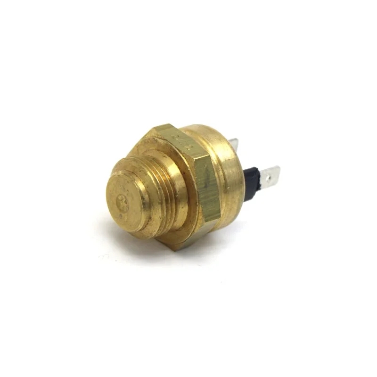 INTERRUPTOR  TERMICO (7004451C1E.)