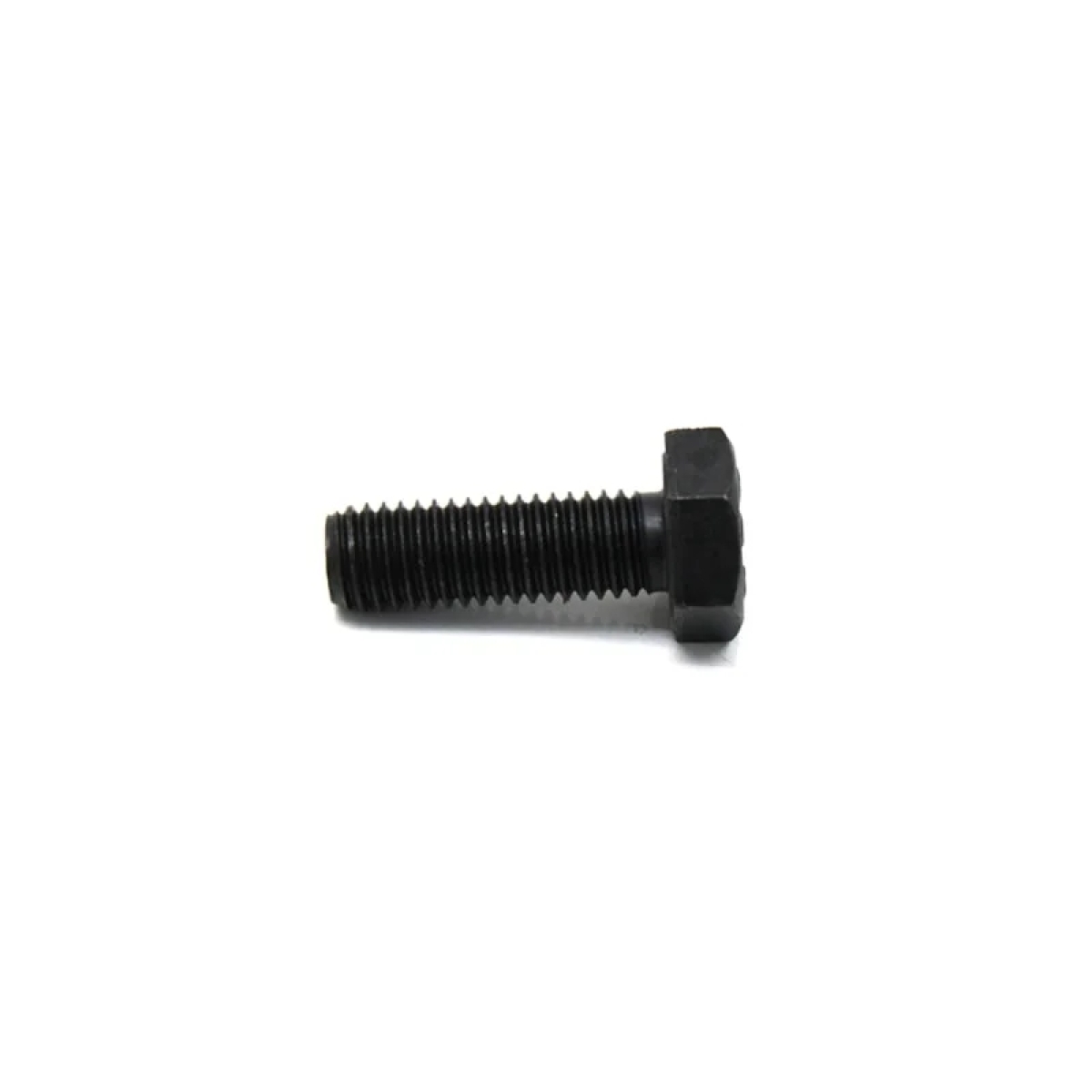 PARAFUSO SEXTAVADO M10X25 (N010254.11)