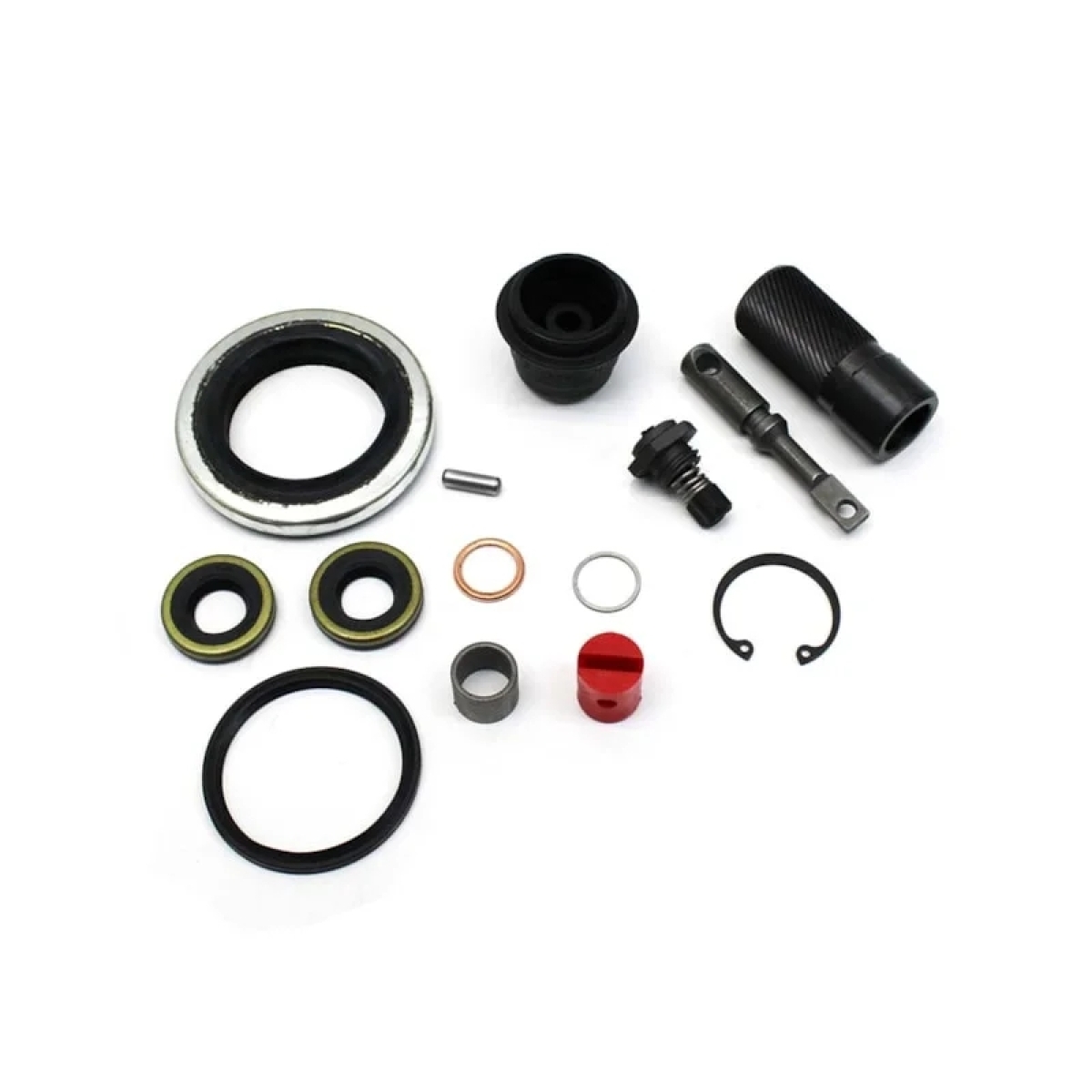 REPARO COMPLETO CATRACA DIANTEIRO (2R0698211B-9)