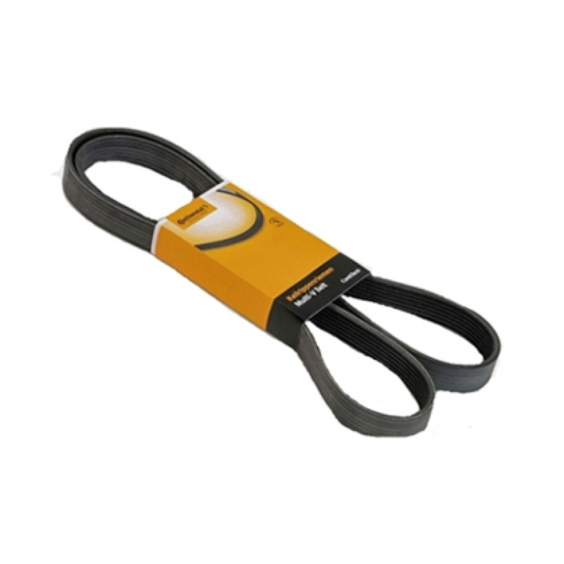 CORREIA POLY V (TJG121725B-99)