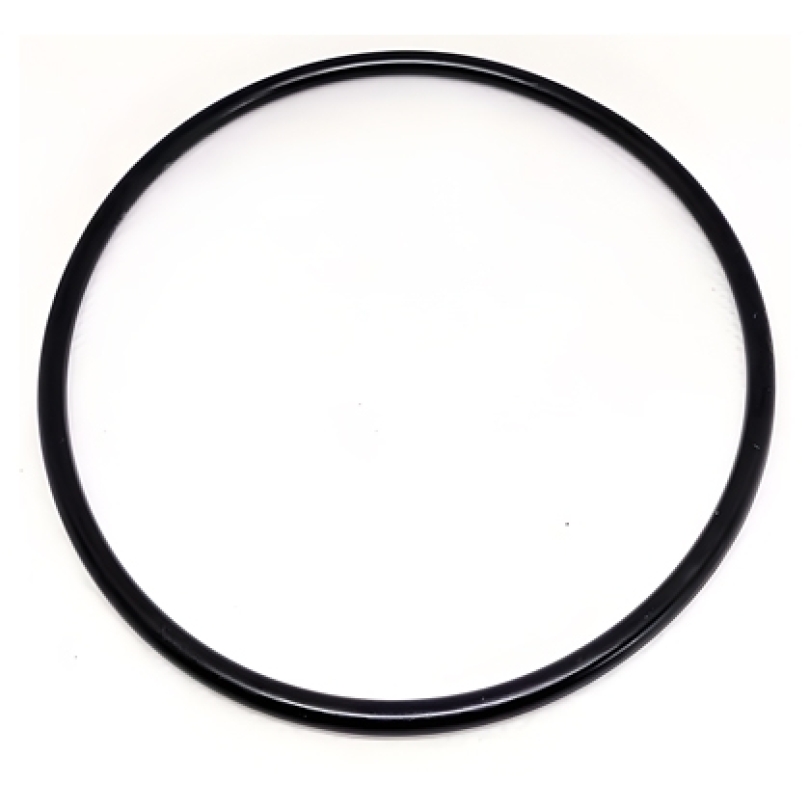 ANEL ORING 500001037E (500001037E)