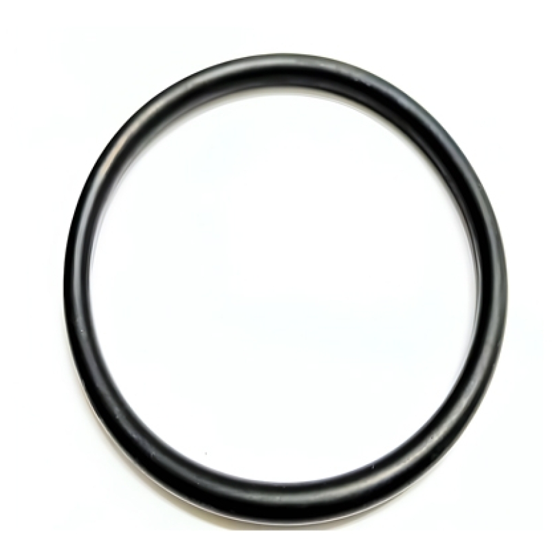 ANEL ORING 500001039E (500001039E)