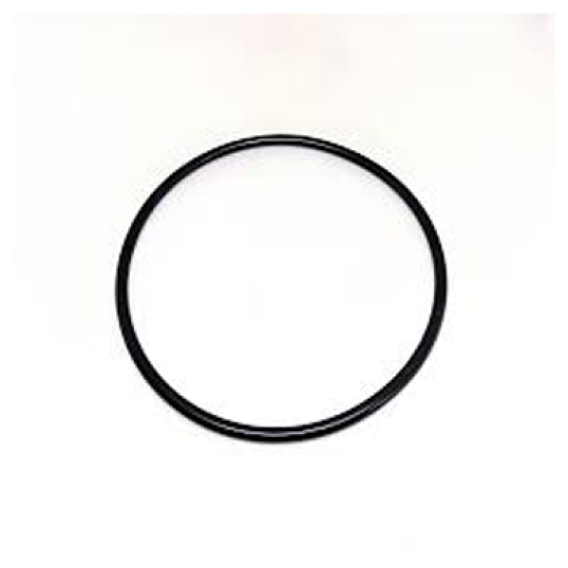 ANEL ORING 500001035E (500001035E)