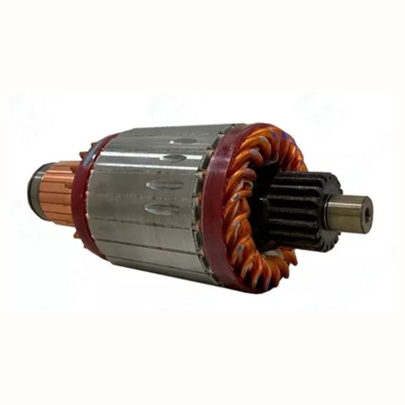 INDUZIDO COM ROLAMENTO 39MT 24V (10539043)