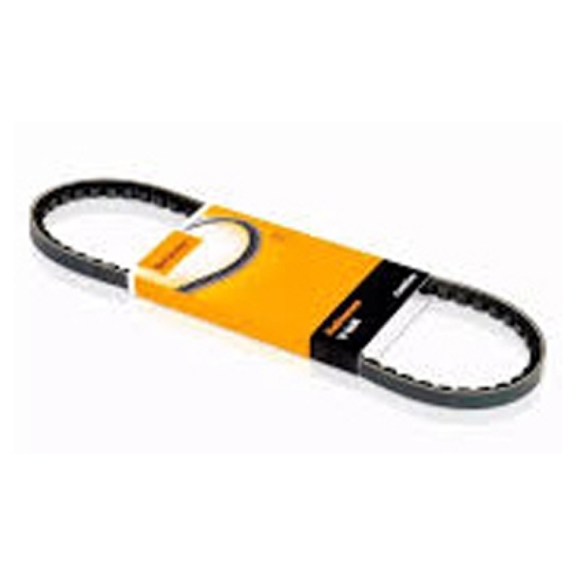 CORREIA V (ML2195G)