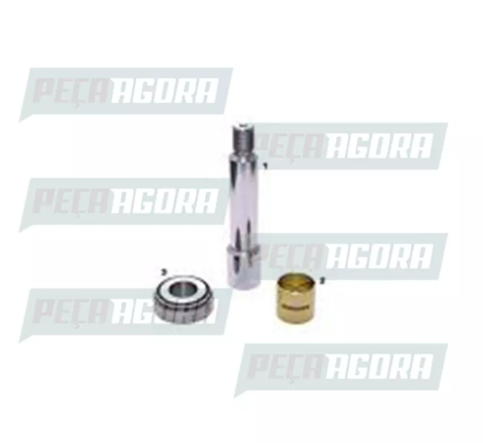 PINHAO PLANETARIO DIFERENCIAL RS 220 VW 11140 12140H FORD F6000 F11000 F12000 CA