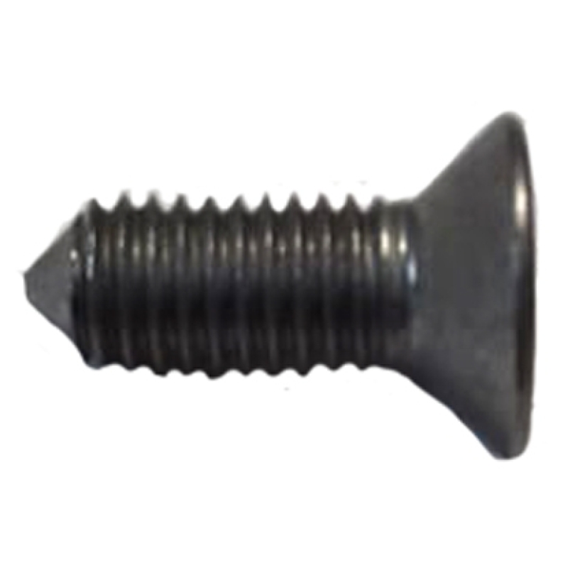 PARAFUSO FIXA BATENTE PORTA CABECA DENTADA INTERNA VW COSNTELLATION 13180 15180 