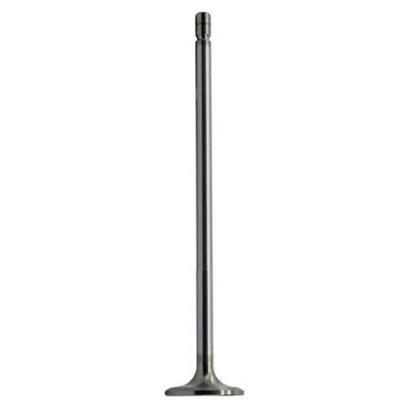 VALVULA ADMISSAO STD 30º GRAUS 167,2X50MM VOLVO ÔNIBUS B 10R MOTOR 230 THD101 