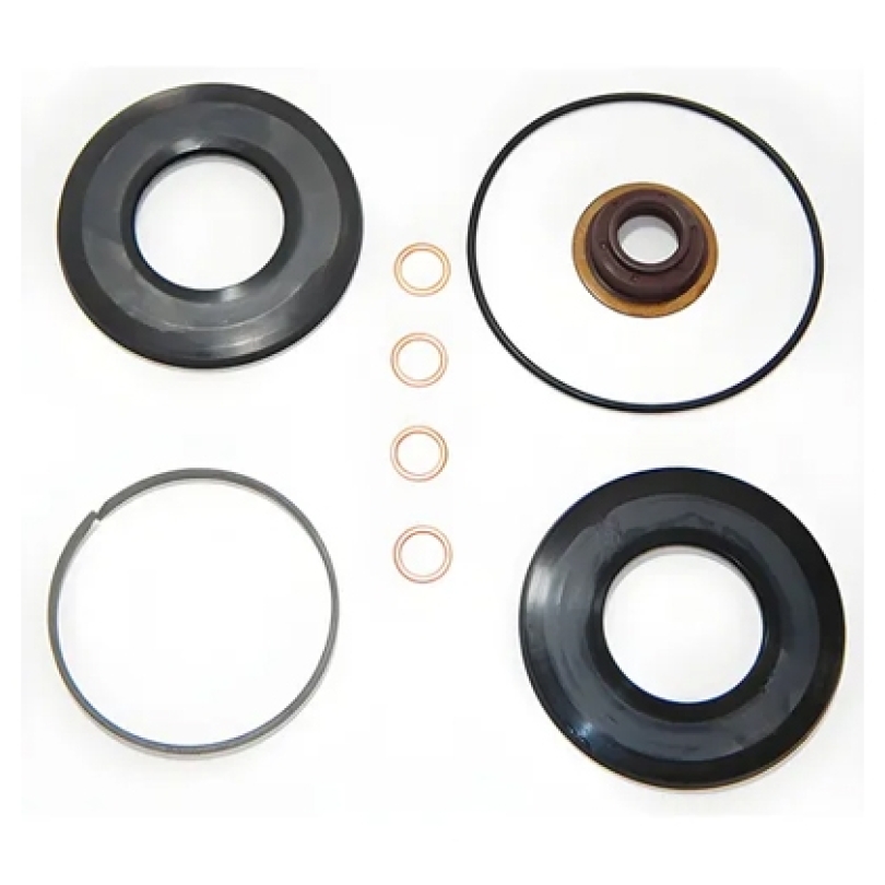 JOGO REPARO COMPLETO CAMBIO G-210/240 G210/221/240 (249978347-300021034)