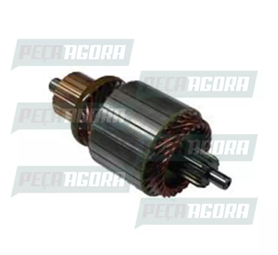 INDUZIDO MOTOR PARTIDA PRESTOLITE M93R 12V VW FORD USADO MOTORES 2R0911023A 2S09