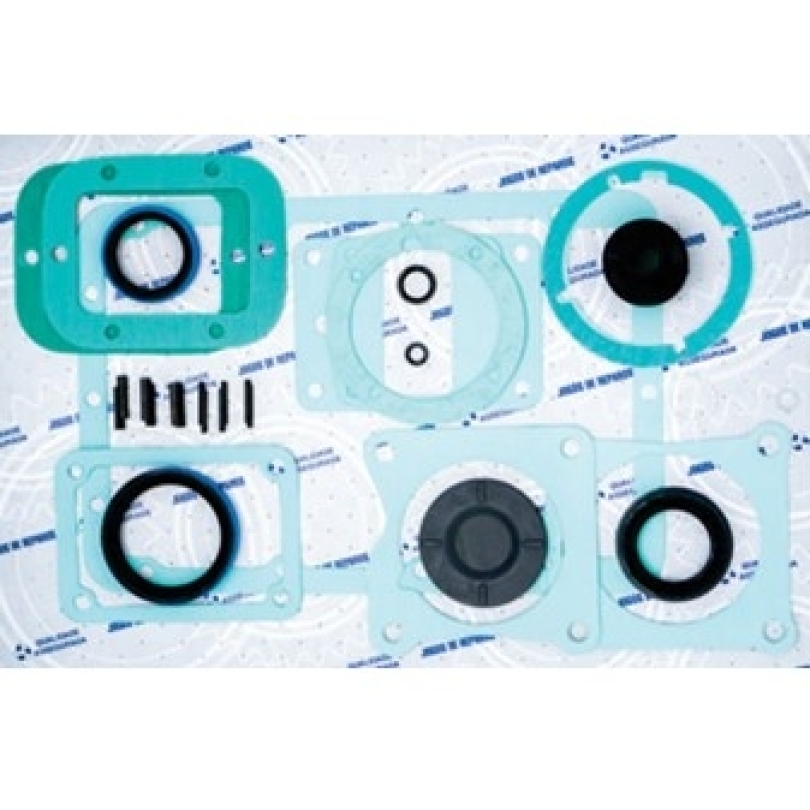 REPARO CAMBIO EATON VW (DP009)